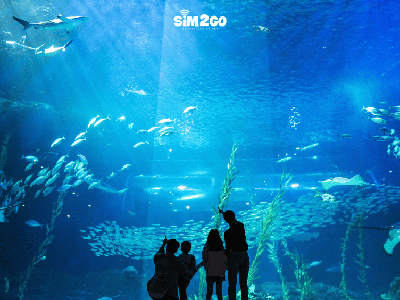 Đến Jeju thì thăm quan ở đâu 1