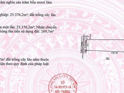 Cho thuê nhà xưởng Tại Trừ Văn Thố Bàu Bàng Bình Dương diện tích xây dựng 14.765m2 2
