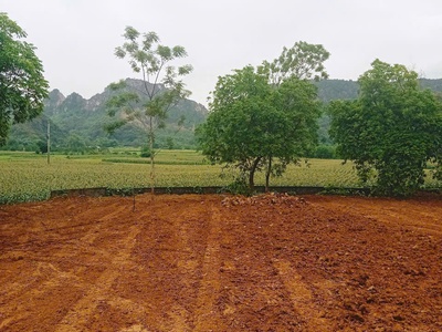 Sở hữu ngay đất đẹp - giá tốt - vị trí đắc địa tại thôn hợp thung, xã thanh sơn, huyện lương sơn, 2