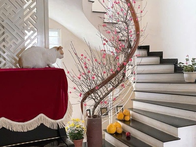  bán nhà đẹp   ngõ tô ô tô vào tận nhà   khu vực trung tâm   thiết kế hợp lý   sổ đỏ chính chủ- 0