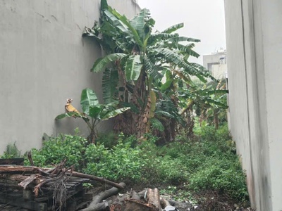 Cơ hội đầu tư   chính chủ bán 2 mảnh đất đẹp tại phường mỏ chè, tp sông công, thái nguyên 2