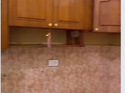 Cho thuê hộ gia đình ở nhà số 23 1