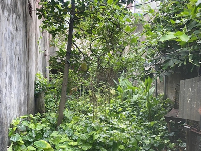 71TR/M2ddaats mặt ngõ ô tô-Bắc Cầu Long Biên-nở hậu-ô tô vào đất-tiện ích đầy đủ 0