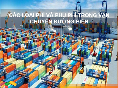 Các loại phí và phụ phí trong Vận Chuyển Đường Biển 0