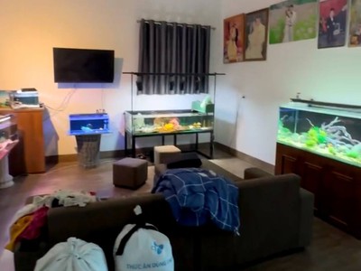 Bán đất tặng nhà 4t, 192m2, mt10m, 14.7 tỷ, mp, kd. thụy lâm, đông anh. 2