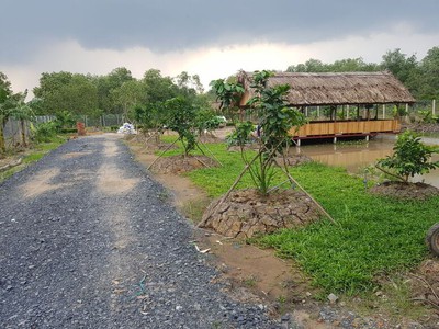 Bán gấp 1000m2 đất vườn giá 210 triệu liên hệ 0706320631 gặp a an 1