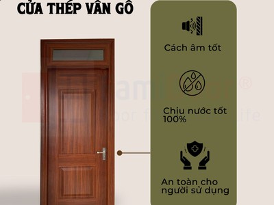 Cửa thép vân gỗ Saigondoor 2