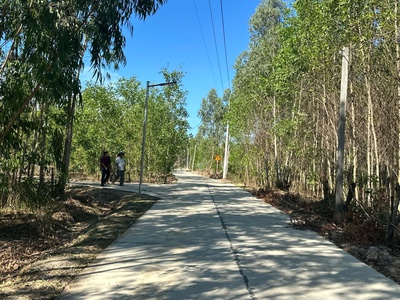Bán 110m x 180m đất đường số 14, tân xuân, hàm tân giá ngộp 777tr/ sào 2