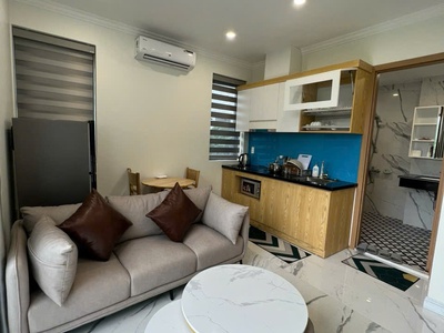 Cho thuê căn hộ 1 ngủ riêng biệt tại KĐT Waterfront 1