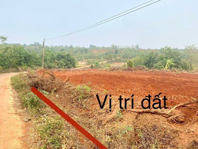 Chính chủ gửi bán 3 lô đất liền kề   mặt tiền bê tông liên xã quảng hiệp - eahding, cư  m ga, đăk 0