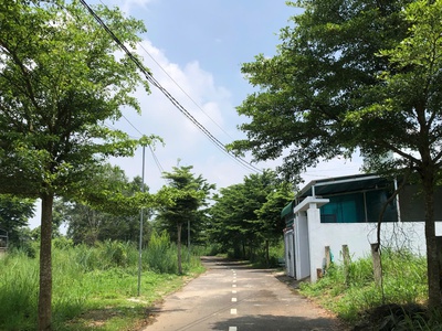 118m2 thổ cư 1 sẹc nguyễn hoàng, xã trảng bom, đồng nai 3