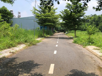 118m2 thổ cư 1 sẹc nguyễn hoàng, xã trảng bom, đồng nai 2