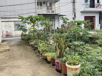 Bán gấp 48m2 thái bình - mai lâm giá chỉ 3.2 tỷ ngõ ô tô , cách 10m ra đường 3 ô tô tánh 1
