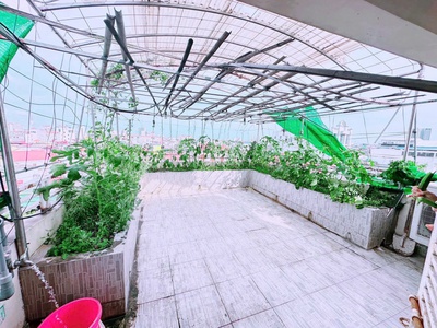 Cho thuê nhà nguyên căn mặt đường Lương Khánh Thiện , Ngô Quyền . Kinh doanh sạch sẽ ok 3