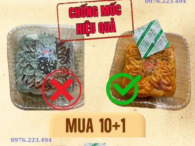 Cách bảo quản gói hút oxy 1