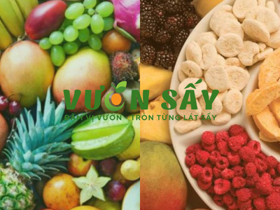 Trái cây sấy giá rẻ ăn vặt miền Tây ngon, không lo về giá 0