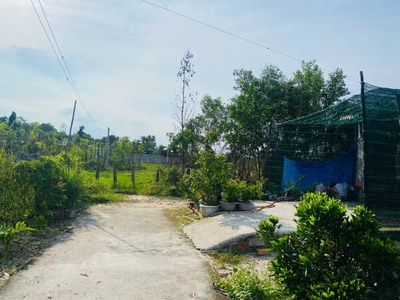 Bán 107m2 đất hẻm nguyễn tri phương - tân bình - lagi giá rẻ 650 triệu 3