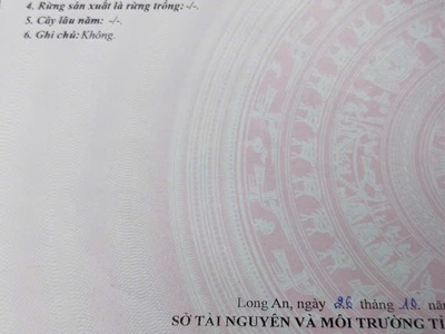 Chính chủ cần bán nhà cấp 4 vị trí đẹp thành phố tân an tại long an 4