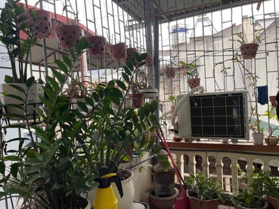 Nhà phân lô Nhân Chính   ô tô đỗ cửa   40m  x 5 tầng   8.25 tỷ 3