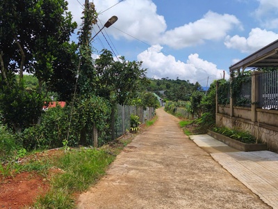 669m2 đất vườn   bao gồm 250m2 thổ  xã Đạm Bri, tp Bảo Lộc giá 2,9 tỷ 4