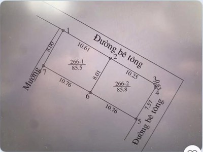 Cc bán 02 mảnh đất 85,5m   võng xuyên   phúc thọ   hà nội. 0