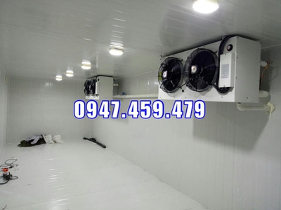 0947 459 479 lắp đặt kho lạnh trữ Cá Bình Thuận, Thiết kế kho lạnh trữ thủy sản 0