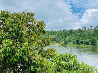Bán vườn thuận an bám đập cách tỉnh lộ 683 nhựa 300m, đã tách 5 sổ sẵn 1