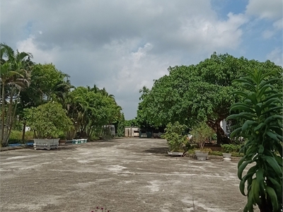 Bán đất phường đại yên, tp hạ long, tỉnh quảng ninh : dt 180m2 0