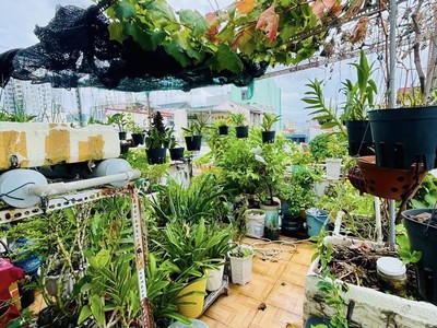 Mt khu bàn cờ họ lê - sẵn dòng tiền - 4 tầng - 96m ngang 6.2 nở hậu nhỉnh 8 4
