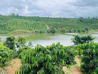 Bán vườn thuận an bám đập cách tỉnh lộ 683 nhựa 300m, đã tách 5 sổ sẵn 4