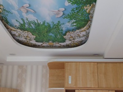 Chính chủ bán căn hộ fresca 70m2 đầy đủ nội thất, sân vườn 2