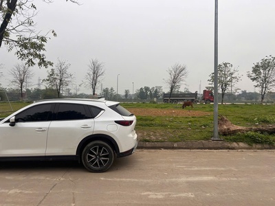 103m đấu giá khoang bèo xuân  mai 3