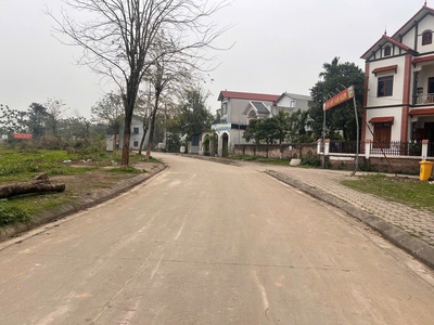 103m đấu giá khoang bèo xuân  mai 2
