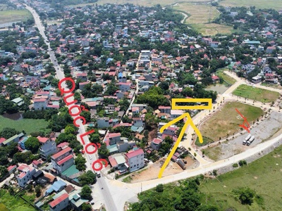 103m đấu giá khoang bèo xuân  mai 1