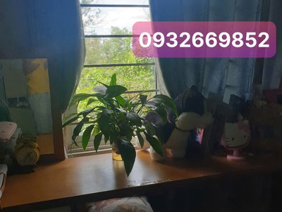 Gấp gấp cần bán nhanh 1 căn duy nhất vừa đẹp vừa mát chung cư ehome2, phường phước long b,thủ 4