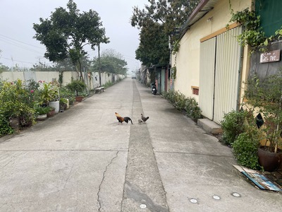 Cần bán 83,9m2 đất An Đào D. Trục đường quy hoạch mở rộng 30m  Hải Đăng 8 - Lý Thánh Tông 4