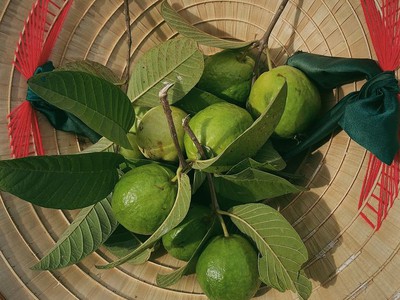 Vừa nghỉ dưỡng, vừa sinh lời - chỉ với 850 triệu/sào tại La Ngà 4