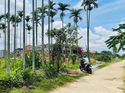  BẮT CƠ HỘI VÀNG   sở hữu ngay lô đất đẹp điện hồng 2