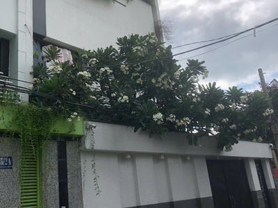 Siêu phẩm nhà khai thác dòng tiền   hẻm xe tải đẹp   giá bán chỉ 15 tỷ. lh:0988954579 0