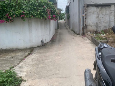 Siêu phẩm xã tự nhiên - giá tốt khó tìm  xã tự nhiên   thường tín 2