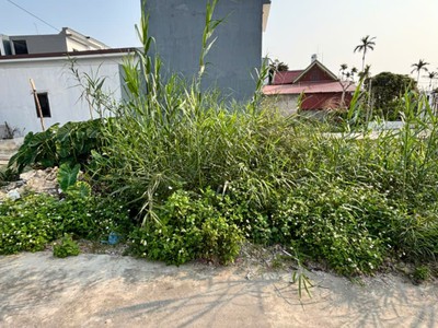 Cần chuyển nhượng lô đất tại hy tái-hồng thái-an dương-hải phòng 0