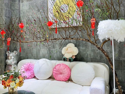 Bán nhà biệt thự thông minh gần quang trung quận gò vấp, 6tầng, thang máy, 4.8x12 m, 15 tỷ 0