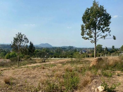Hơn 1ha đất hẻm thiện chí ninh gia đức trọng view bao đẹp chỉ 12 tỷ 4