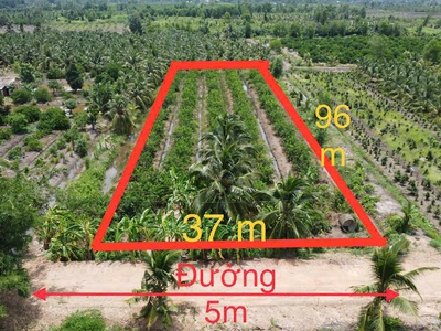 3698m2 đất vườn thổ ấp 9, Lương Hòa, Bến Lức ,Long An giá 6 tỷ 1