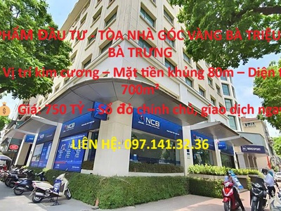 Đầu tư lời siêu khủng toàn nhà góc vàng Bà triệu 700 mét siêu lợi nhuận 3