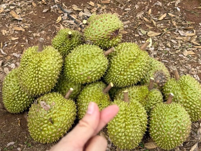 Bán nhanh lô đất ngộp Đồng Nai 1