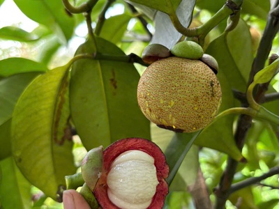 Bán nhanh lô đất ngộp Đồng Nai 3