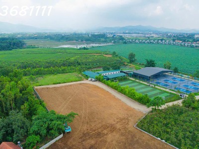 Sở hữu đất đẹp - đầu tư sinh lời  - vị trí tại : đồng trung - thanh thủy - phú thọ 0