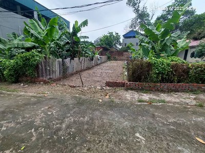 Bán đất tân dân, 82m2, mt4m, ô tô, 1.98 tỷ, sóc sơn 3