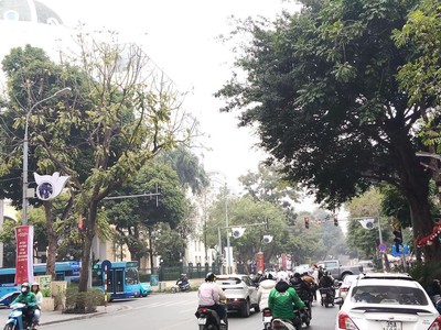 Mặt Phố Quang Trung Hoàn Kiếm, 105/120m2 MT6m 103 tỷ 2